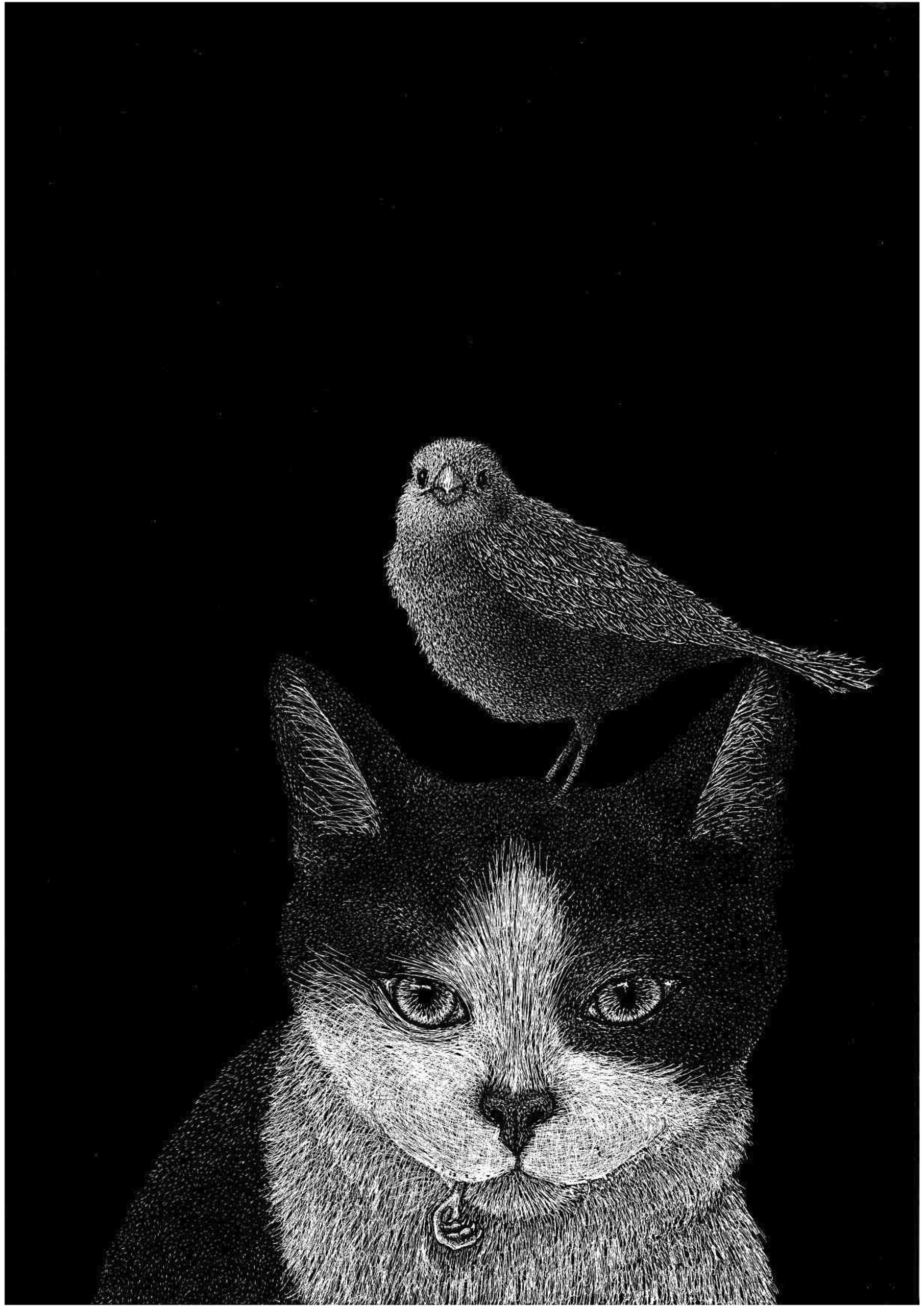 Il gatto e i due passeri