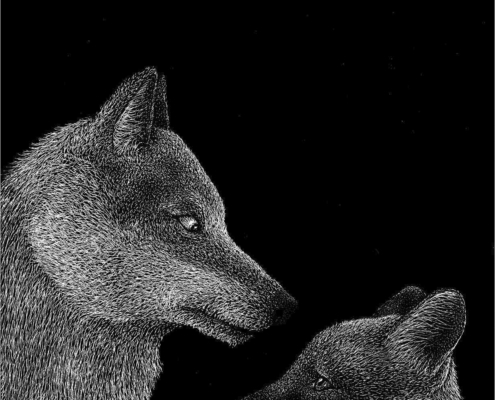 Il lupo e la volpe